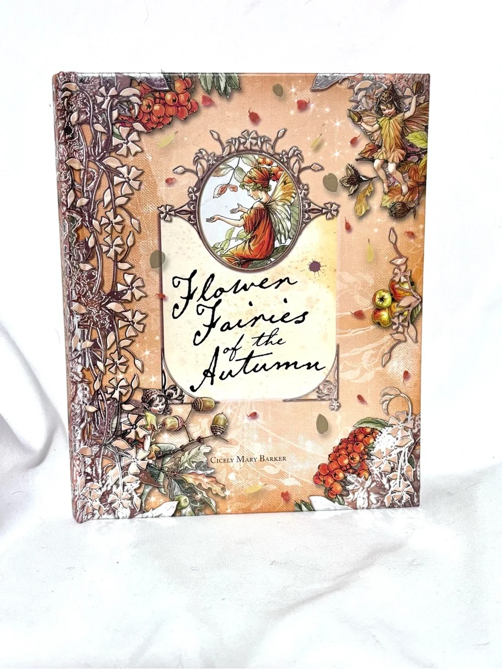 RARE FIND Flower Fairies of the Autumn